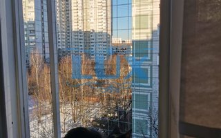 фотография решетки антикошка № 62