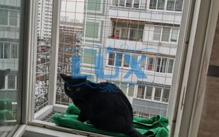 фотография решетки антикошка № 63